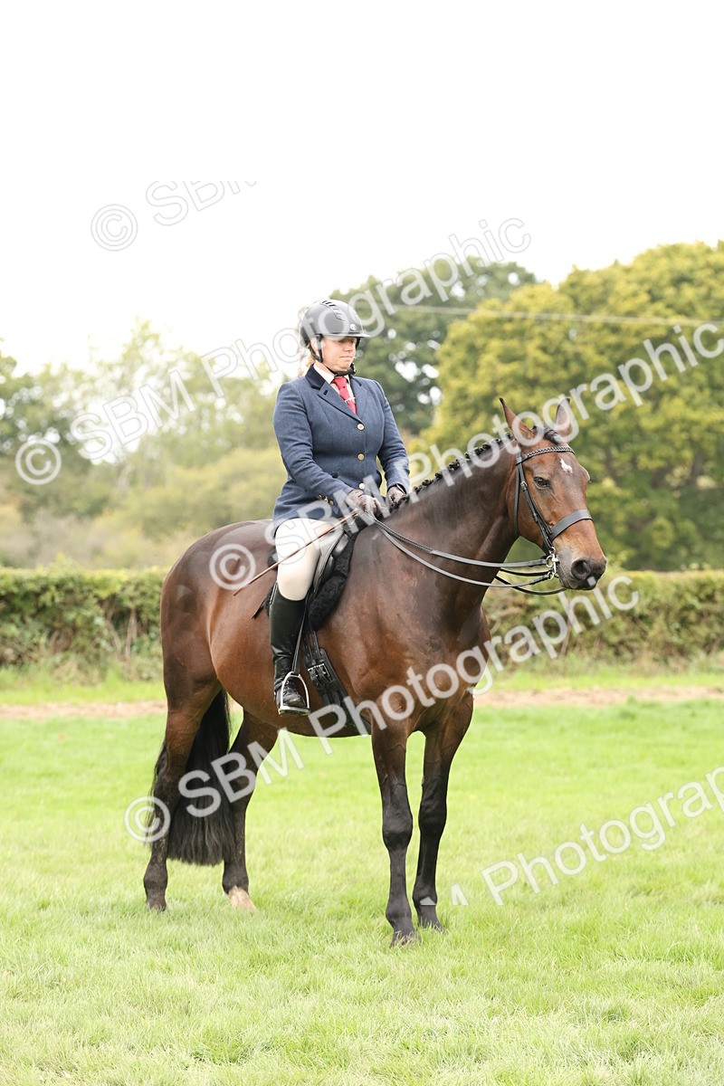 SBM_66394 - S66 - Hunter Ridden