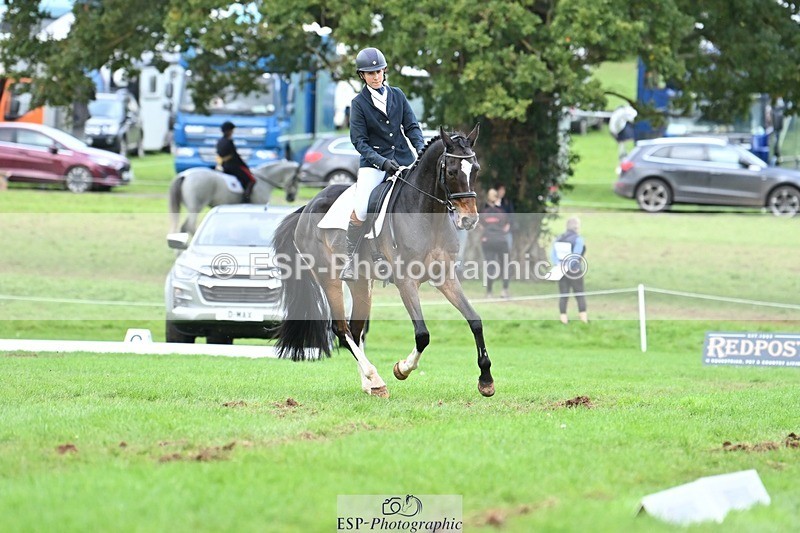 231020-153743-11525 - 687-VLOVE.D.OR.LY-Hani.Milstein-DR