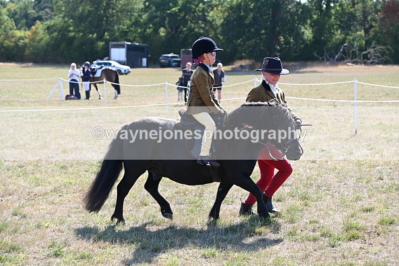 WJ6_7449 - Class 34 Judges Choice