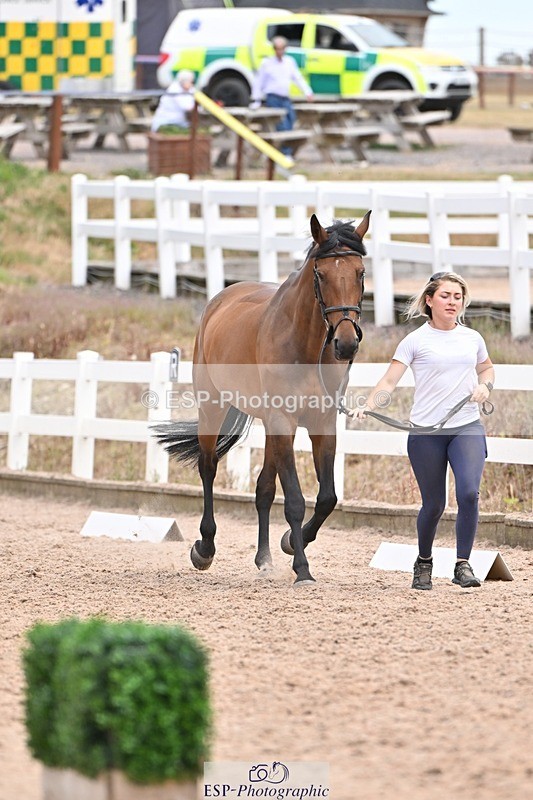 250716-141946-01016 - Trot Up 1.30 to 2.30