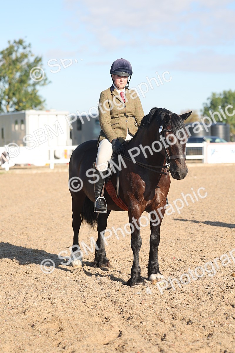 SBM_11058 - Class 302 - Ridden M&M Large Breeds