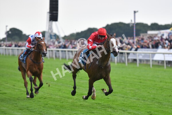 yr22072022r6-21 - Race 6 7.50pm Gallop Racing Stakes