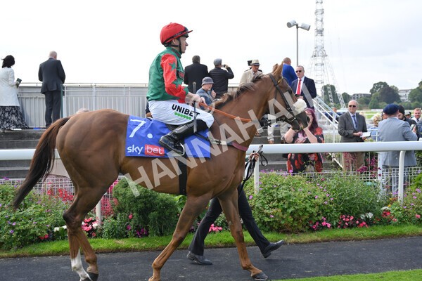 yr18082021r1-41 - Race 1 1.50pm Sky Bet & Symphony Group Stakes