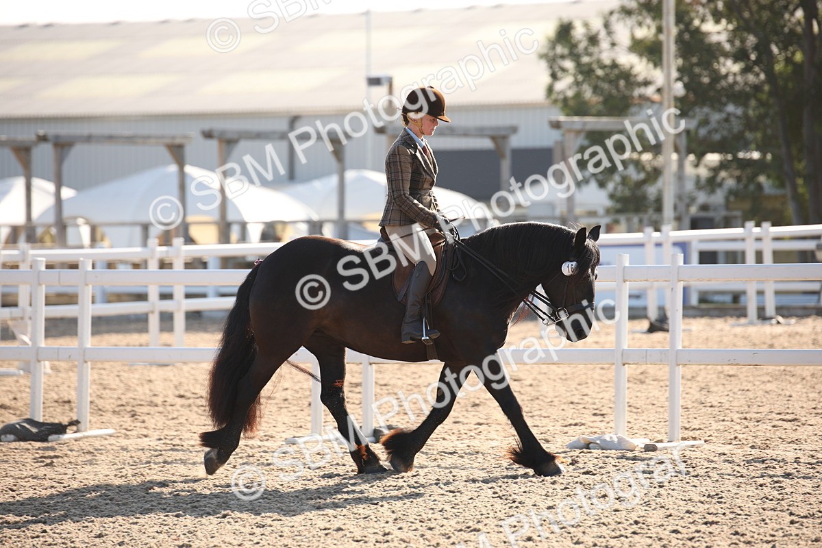 SBM_00619 - Class 14 Ridden M&M Wildcard