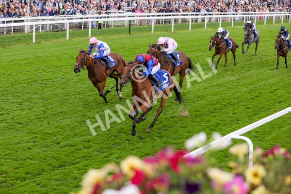 220824-Race 4-Content-7700 - Race 4 3.35pm Pertemps Network Yorkshire Oaks