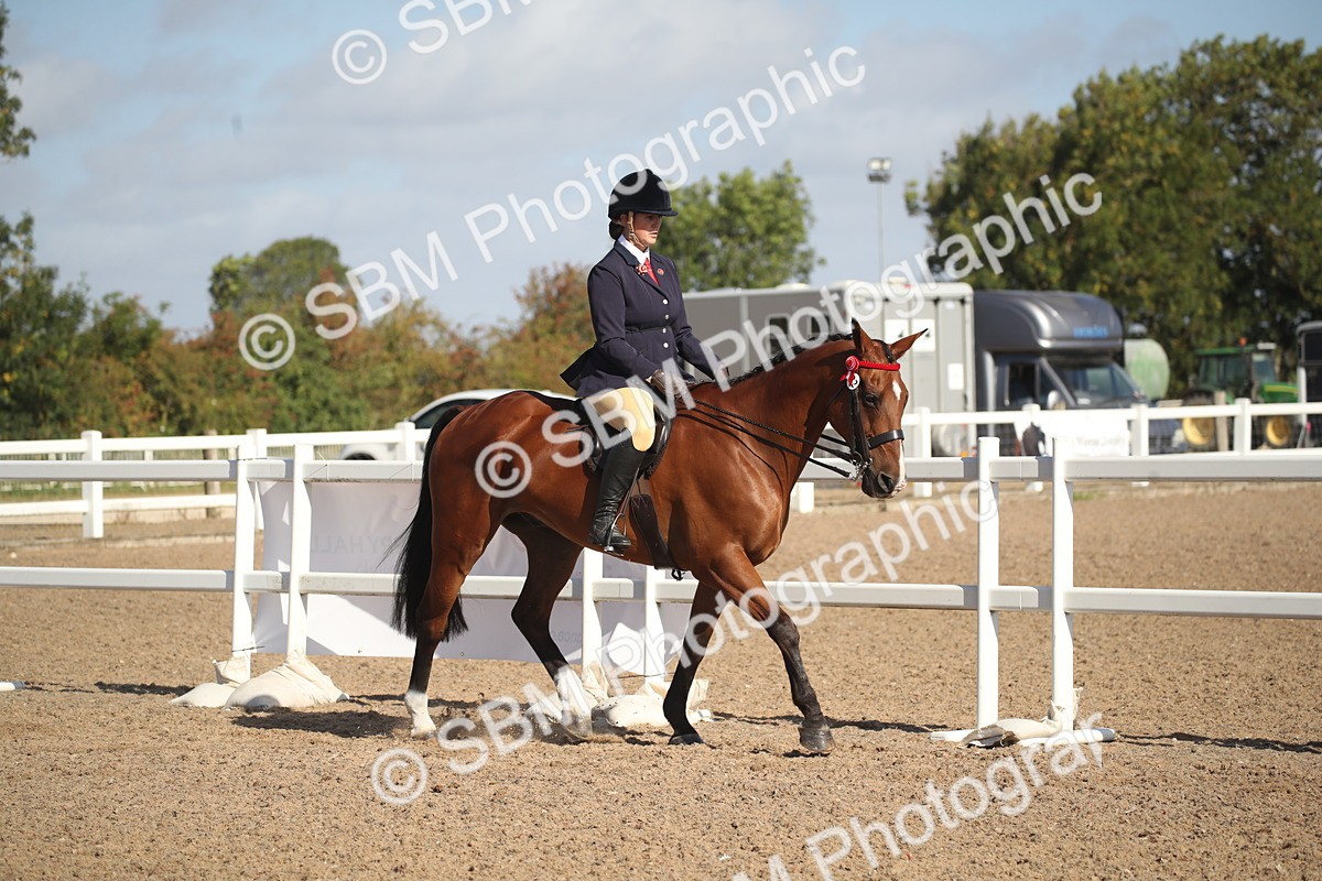 SBM_22760 - Class 602 - 2026 Area - Ridden Veteran