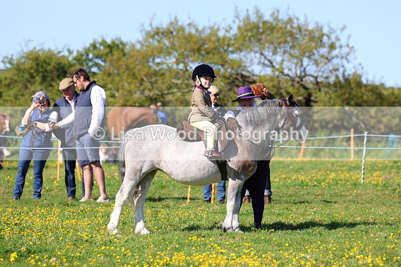 3E7A8892 - Class 2: Lead rein