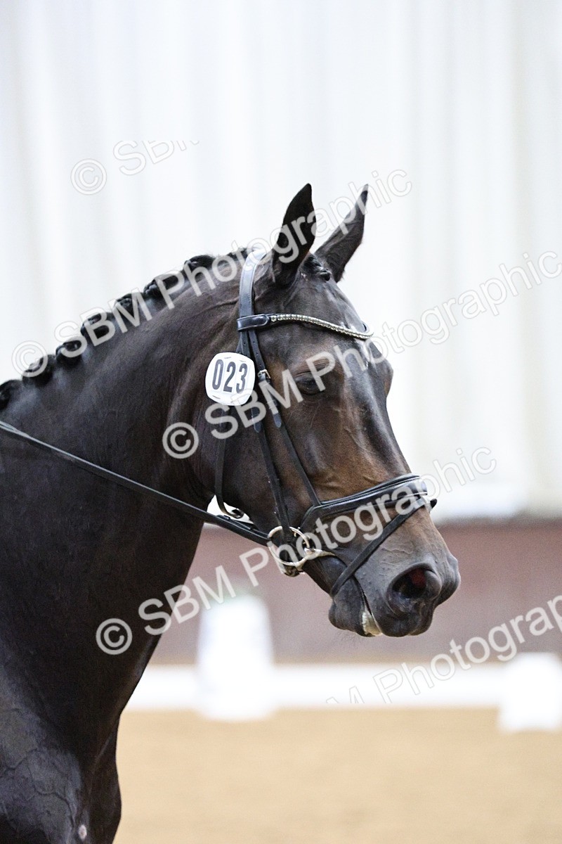 SBM_001235 - Class 5 - Novice 6