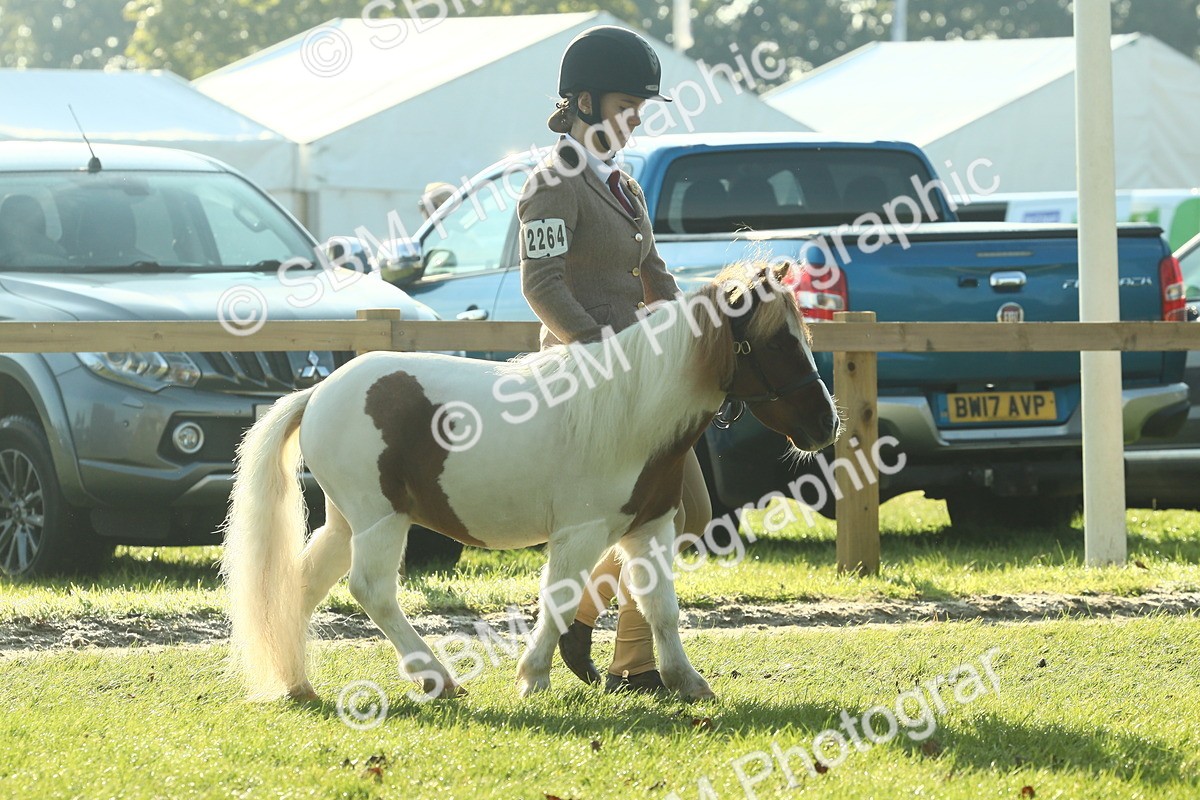 SBM_58548 - S37 - Starters In Hand Showing