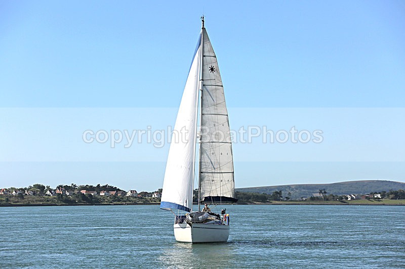 160806 JOUSTER Y92A9591 - Sailboats - monohull