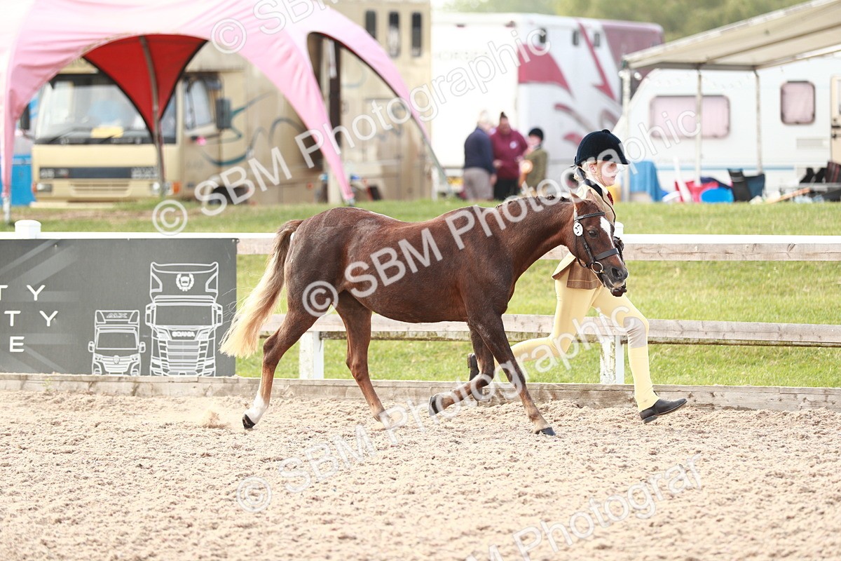 SBM_10506 - Class 204 Young Handler, 11-16 years