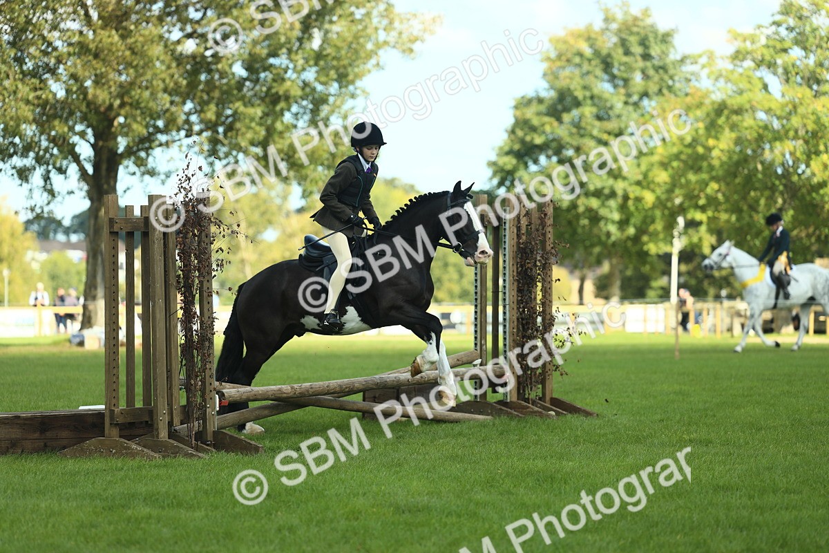 SBM_42006 - S29 - Novice & Newcomers Working Hunter Pony