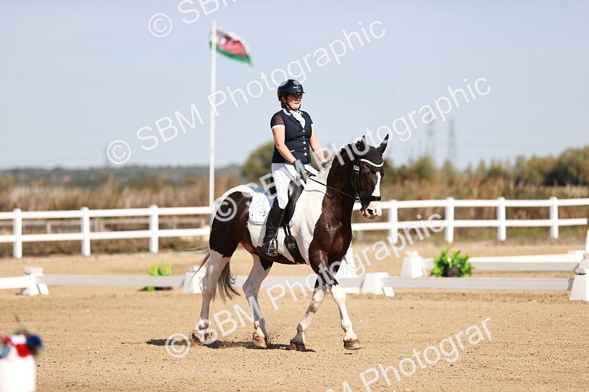 SBM_004308 - Class 12 - Novice 5 - 10.31-11.41