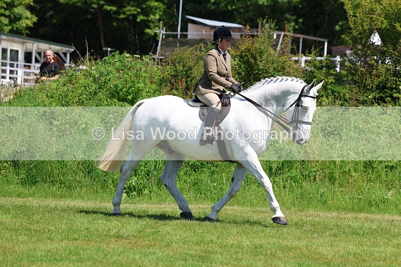 3E7A8235 - Class 13: Ridden Hunter