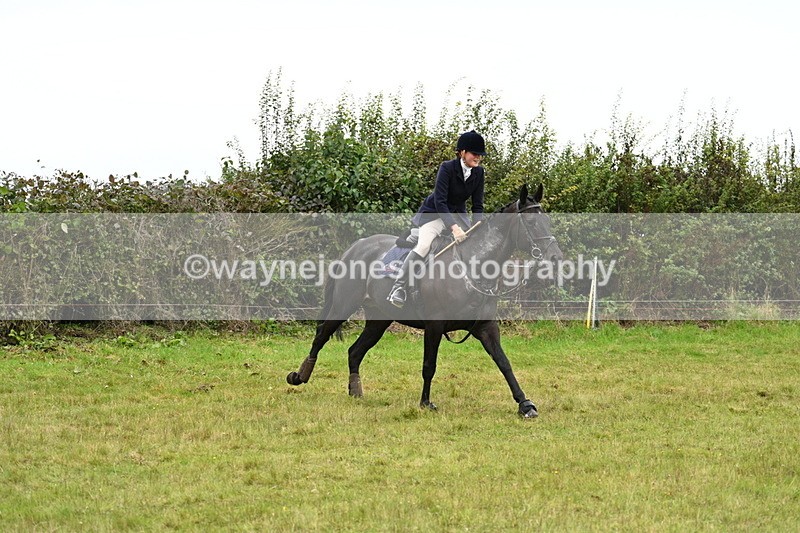 WJ7_4237 - Camera 1 Line 2