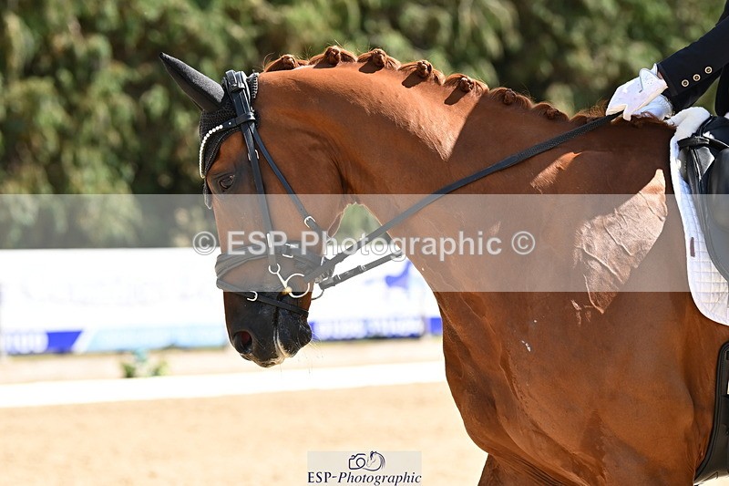 250808A-145920-01041 - 087-Lily.LaughtonZalando