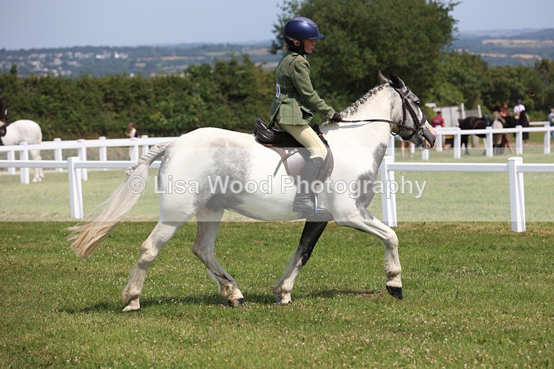 JPP_3256 - Class 22: Working Hunter 70cm