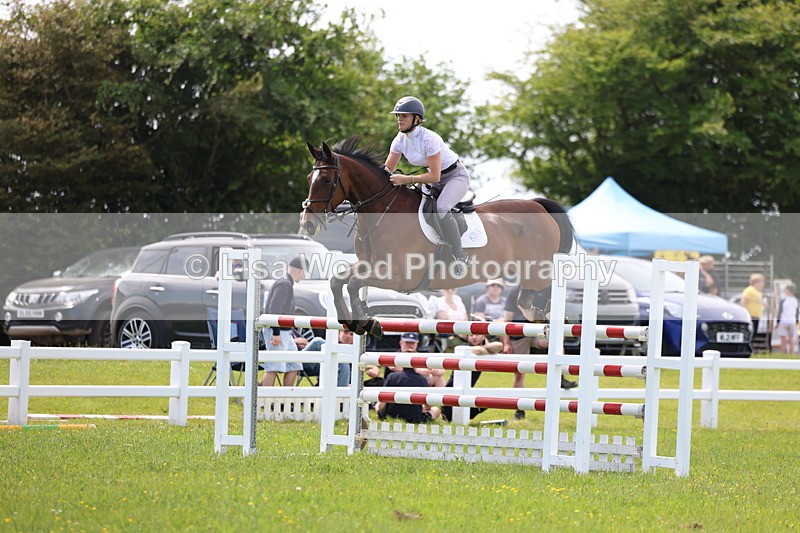 3E7A1417 - Class 12: Senior Foxhunter/1.20 open