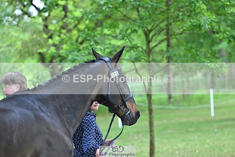 250521A-155307-00823 - B-376-Lucy.Robinson-BELLINE.SECOND.CHANCE