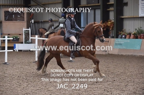 JAC_2249 - CLASS 2 Novice Working Hunter