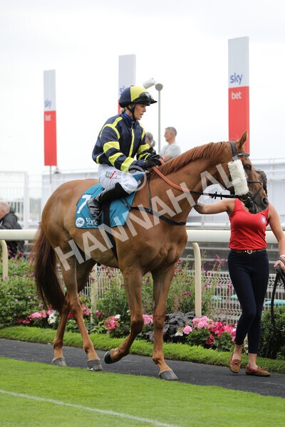 yr23072022r5-7 - Race 5 4.25pm Sky Bet UK's No1 Betting App Stakes
