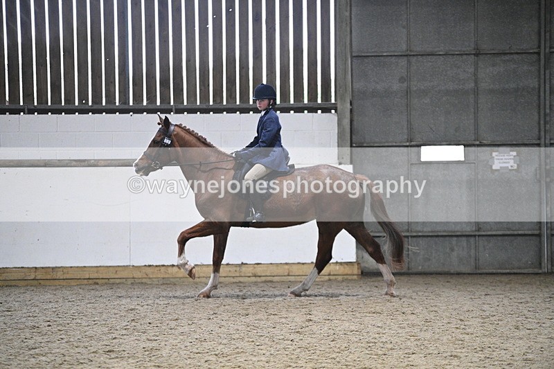 WJ7_4141 - Class 17 Ridden Cob