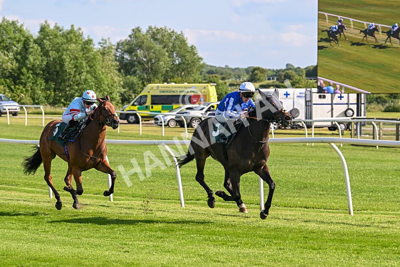 100625-Race 1-Desert Jungle-6368 - Race 1