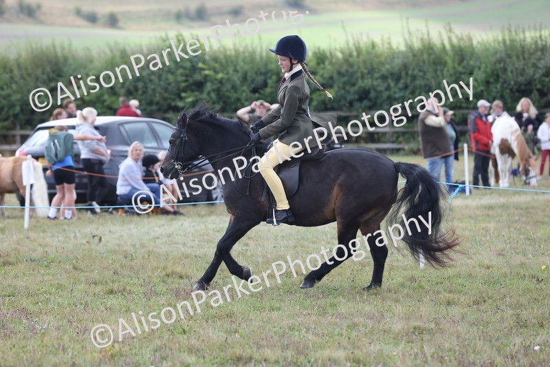 20250831-1178 - Class 15 - Ridden Veteran