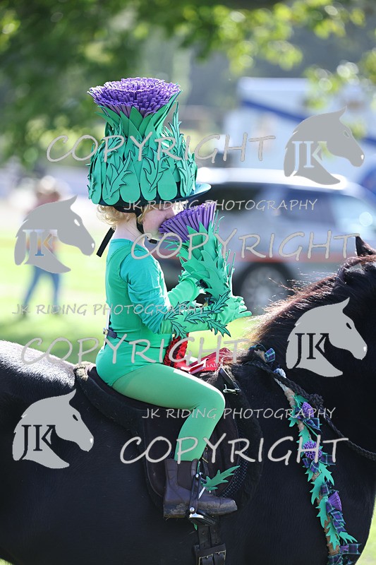 APP_4093 - Class 19 Fancy dress