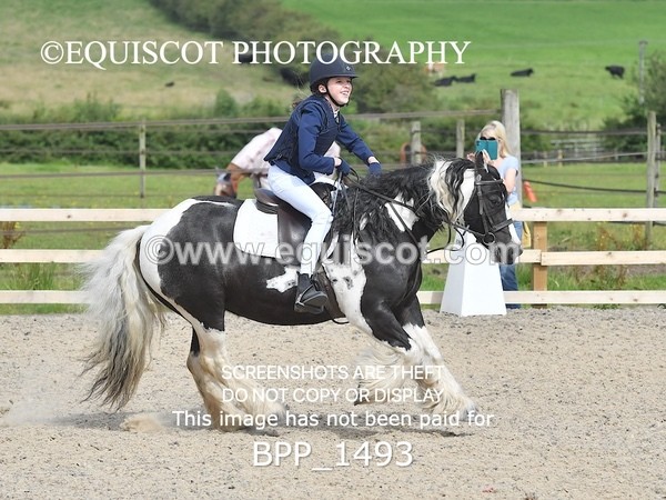 BPP_1493 - DERBY CLASS 3 - 40CM