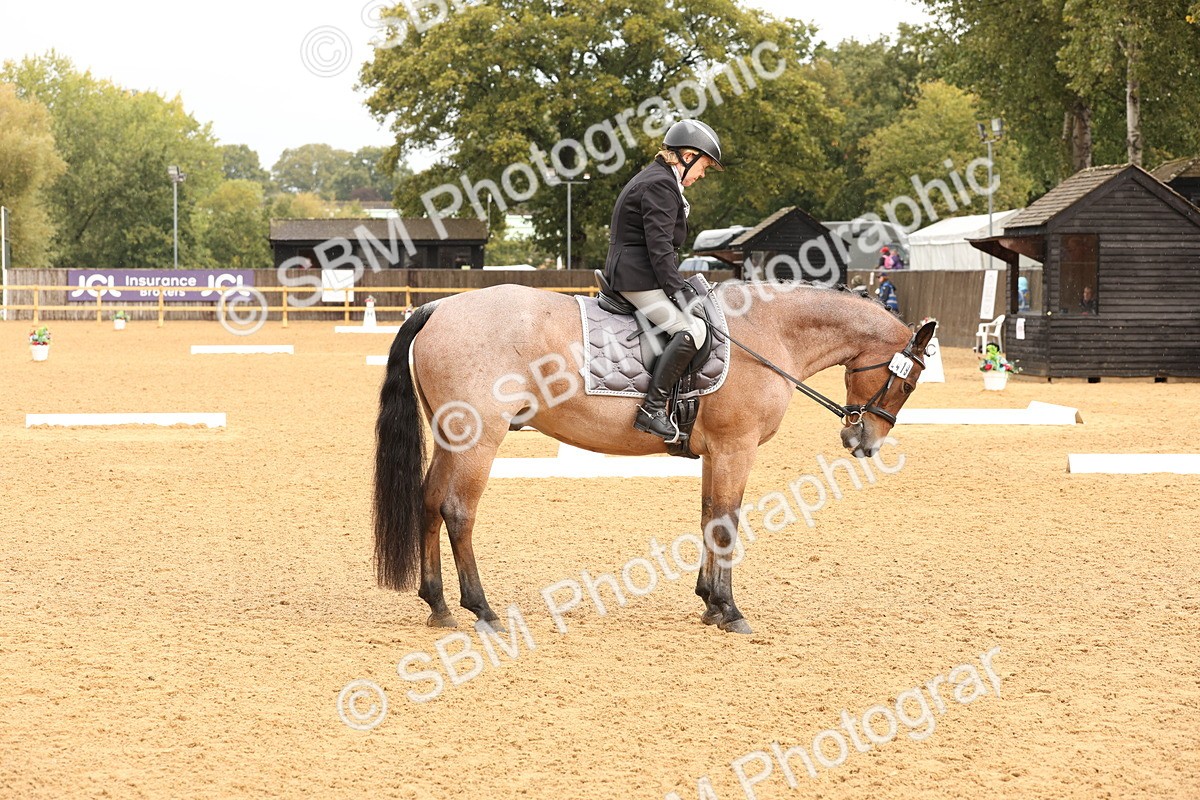 SBM_40598 - D6 - Small Tour Championship Intro 4