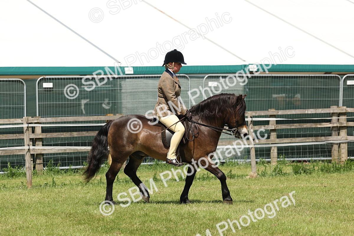 SBM_06803 - Class 26-30 - Mountain and Moorland Ridden