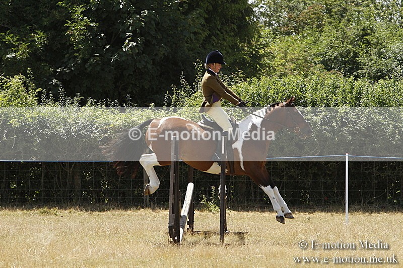 _BS_0894 - BVRC Show 2018 Ring 3