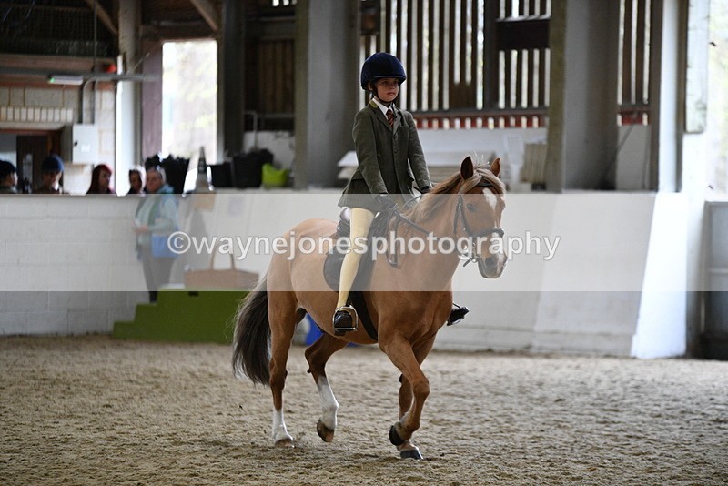WJ5_7254 - Class 11 Ridden PC - RC Pony