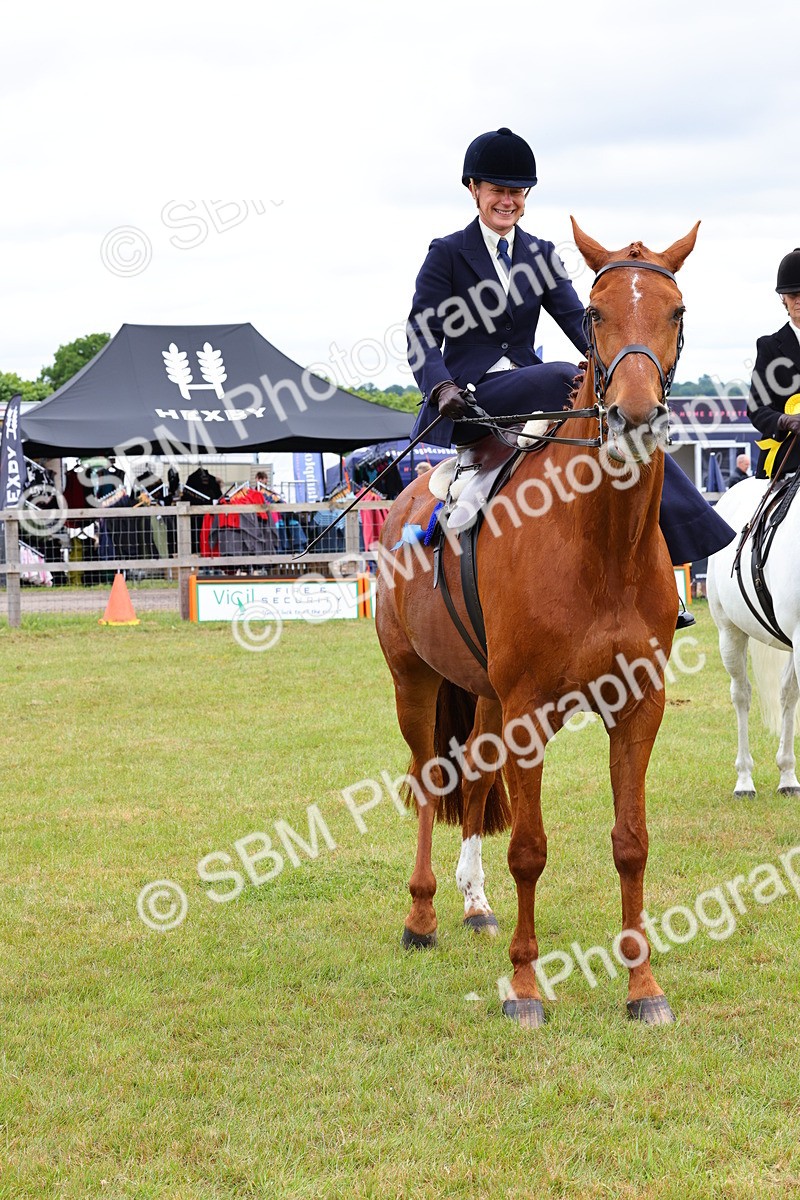 SBM_02973 - Class 9-11 Side Saddle including LIHS Rising Star Ladies Show Horse