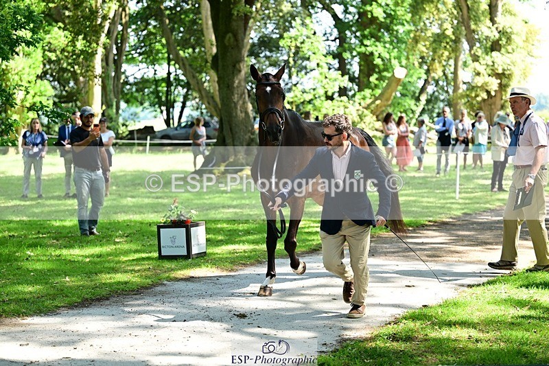 260527A-153205-01253 - C-390-Marcio.Appel