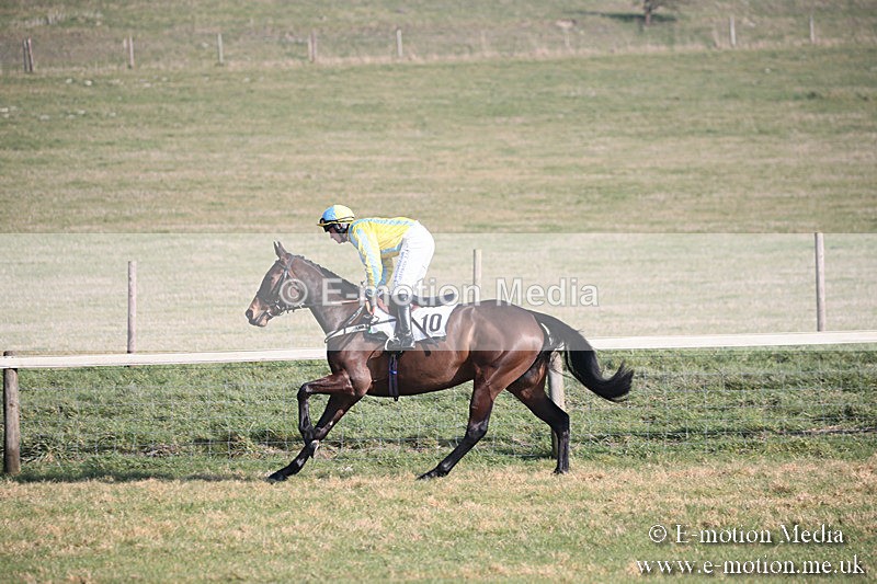 PtP 230219 156 - Vine & Craven Point-To-Point - Barbury 23/02/19