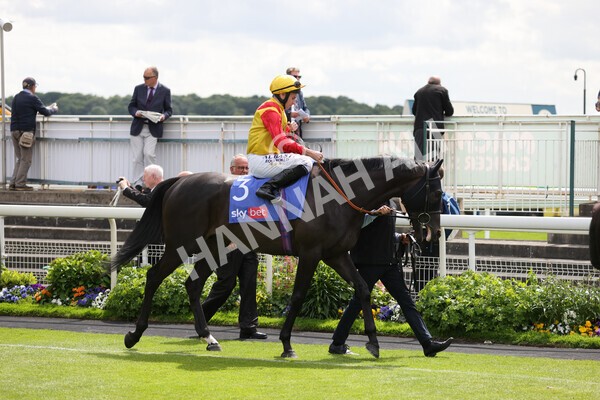 yr11062022r4-1 - Race 4 3.05pm Sky Bet Grand Cup