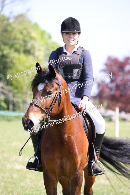 20250427-3240 - Class 33 - Best Pony 14.2hh and Under
