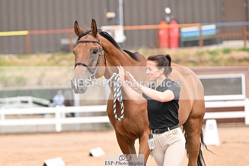 250716-154302-02152 - Trot Up 3.30 to 4.30