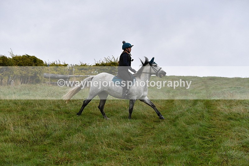 WJ5_5677 - Time 10:05 to 10:30  (3 cameras)