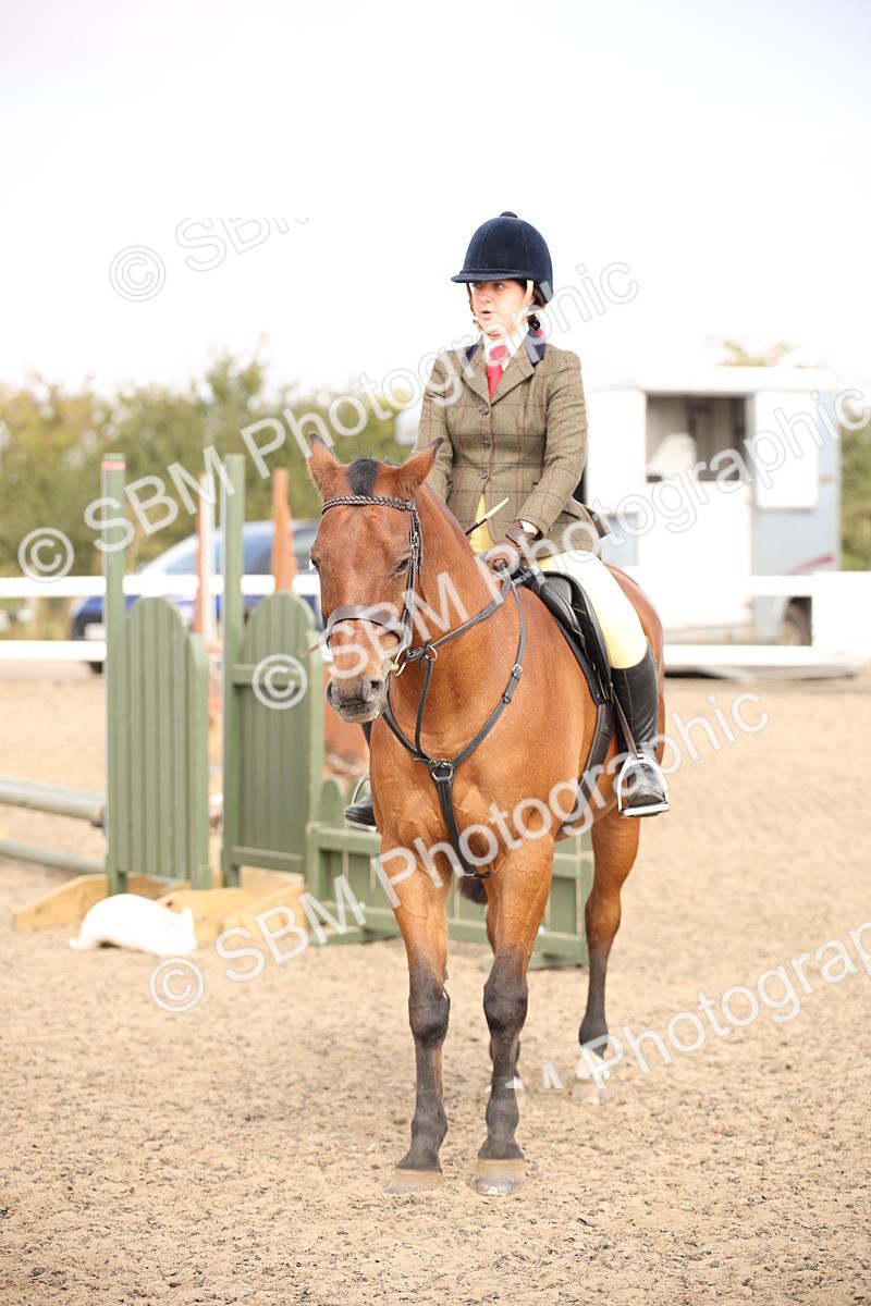 SBM_12924 - Class 406a - Working Veteran 50cm (15-19)