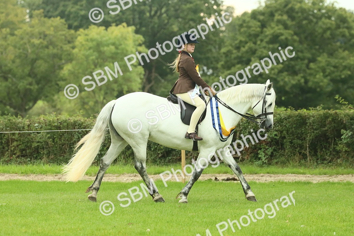 SBM_75143 - Super Supreme Championship