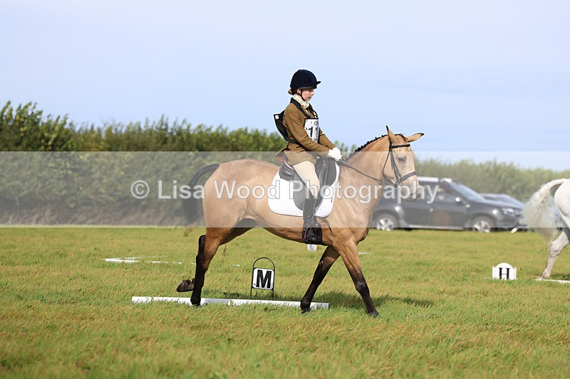3E7A6104 - Class 1: Trebudannon Open: Dressage (Part 2)