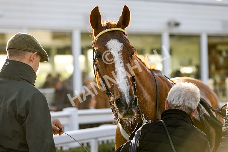 240124-Race 3-Event Of Sivola-5936 - Race 3