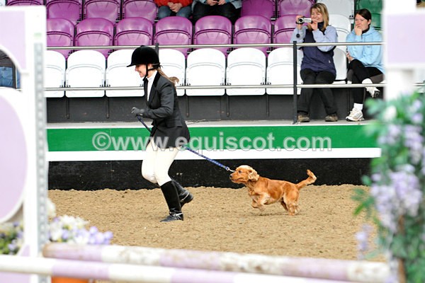 equiscot 3113 - NICOLA CAPPER