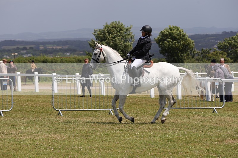 1X9A4532 - Class 34: Veteran Ridden