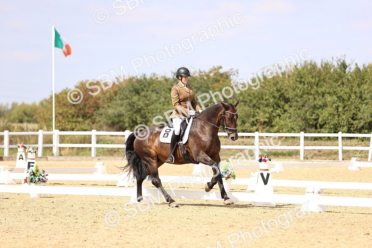 SBM_014955 - Class 6 - Elementary 5