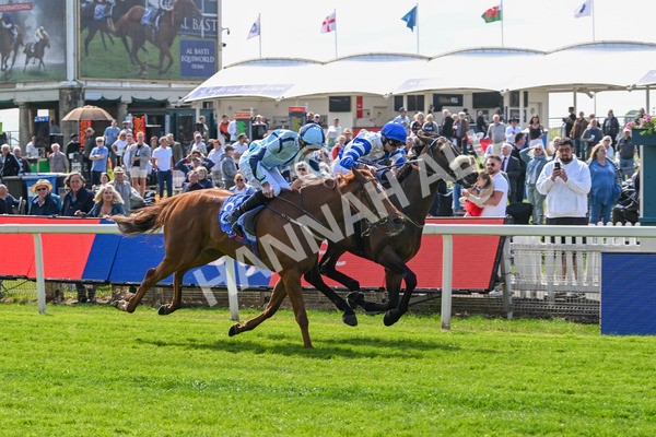 140525-Race 1-Almoshher-1596 - Race 1 2.10pm Sky Bet Race To The Ebor Jorvik Handicap
