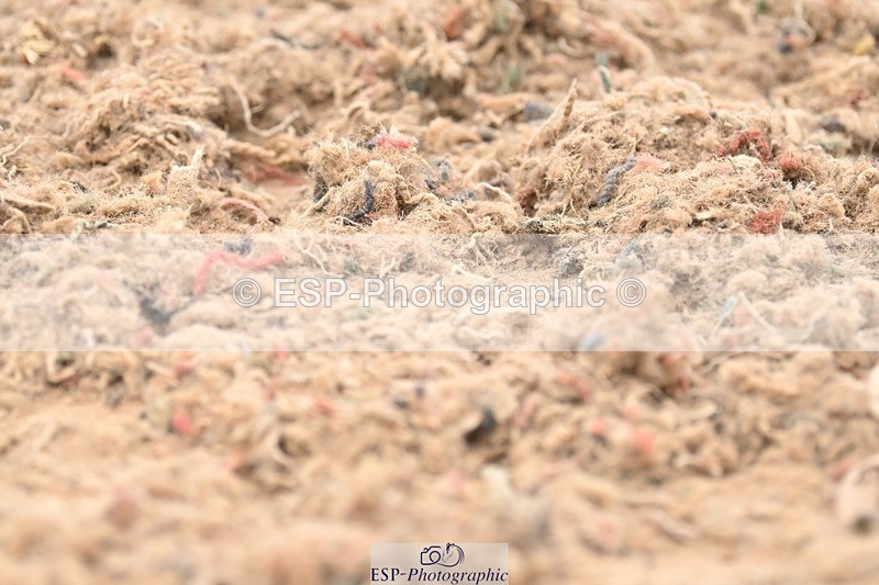 250705-175528-02780 - N1 Section BDNOV1 1350 to 15.28